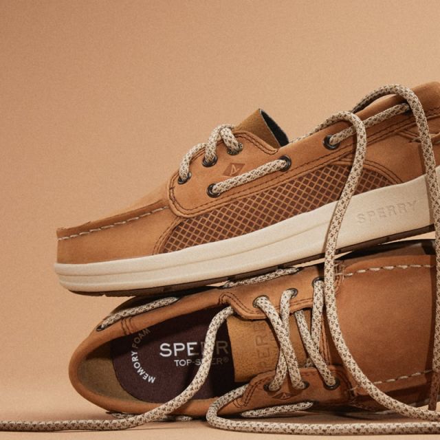 sperry